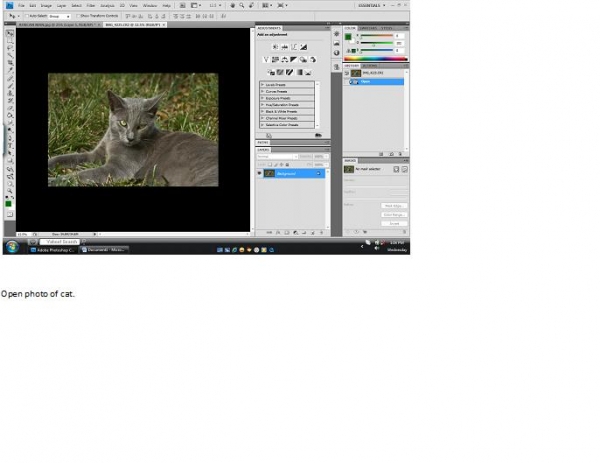 Creation of Cat Man: Step 5